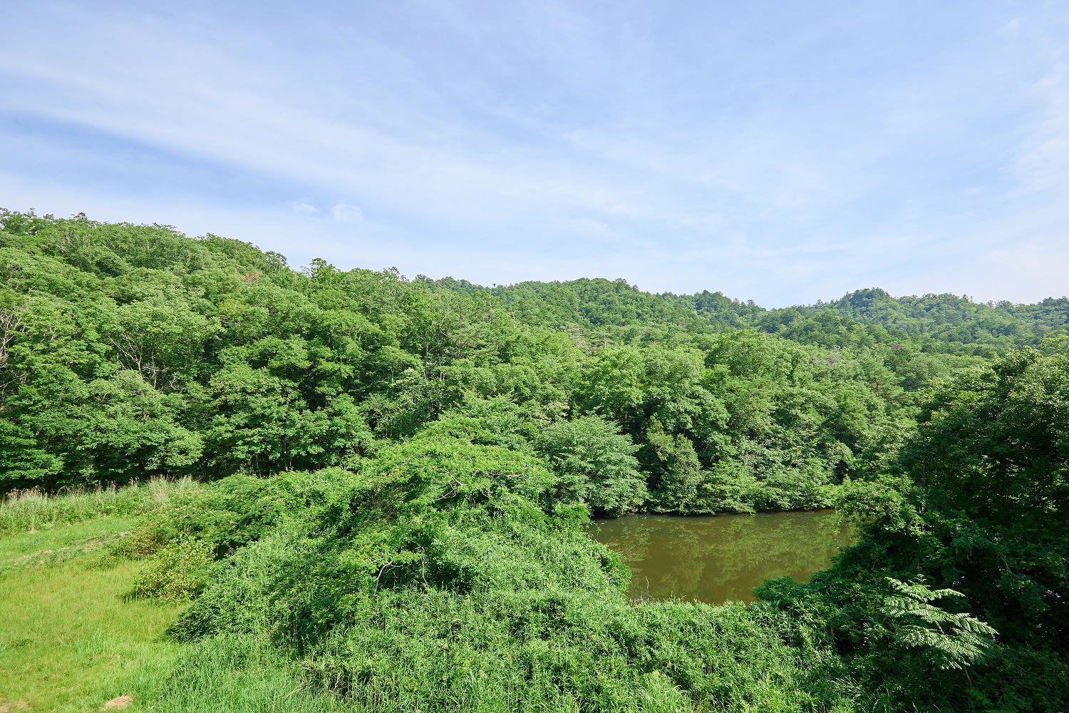 四季折々の風景